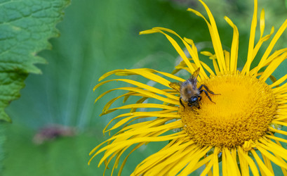 Similar image 21468778