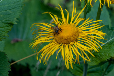 Similar image 21468779