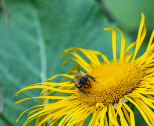 Similar image 21468780