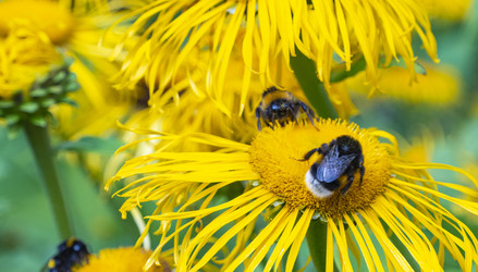 Similar image 21468783