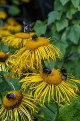 Similar image 21468784