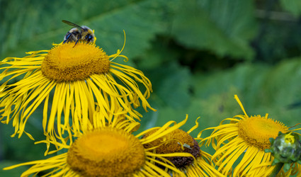 Similar image 21468789