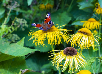 Similar image 21468791