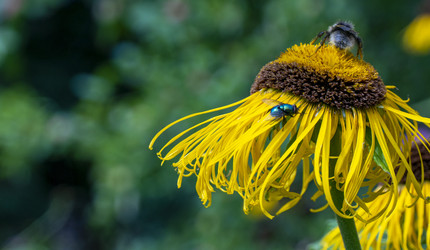 Similar image 21468792