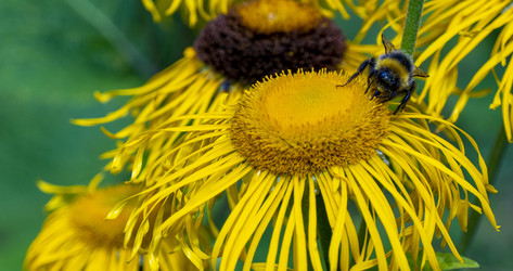 Similar image 21468793