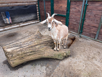 Similar image 21436471