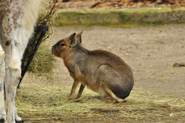 Similar image 21436679