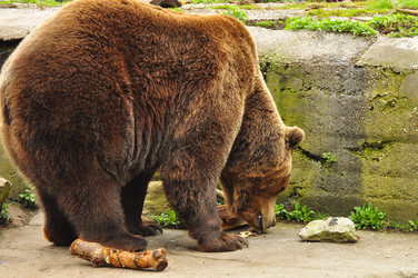 Similar image 21436681