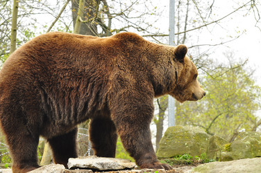 Similar image 21463001