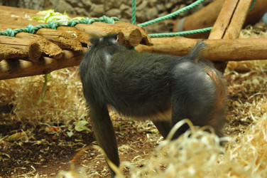 Similar image 21478838