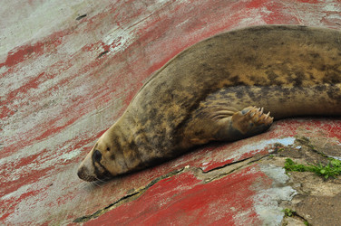 Similar image 21478840