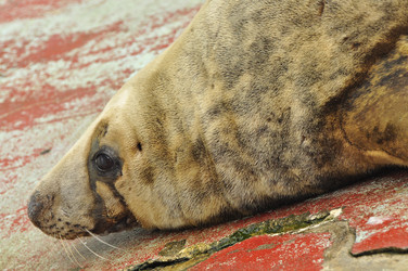 Similar image 21435927