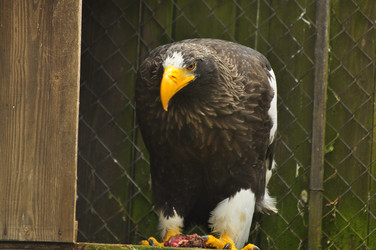 Similar image 21436683