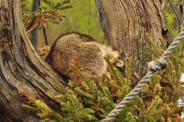 Similar image 21436684