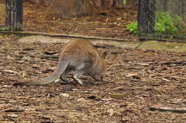 Similar image 21444730