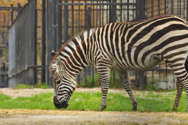 Similar image 21459023