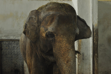 Similar image 21478844