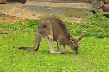 Similar image 21478845