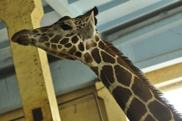 Similar image 21478846