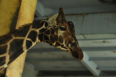 Similar image 21478847