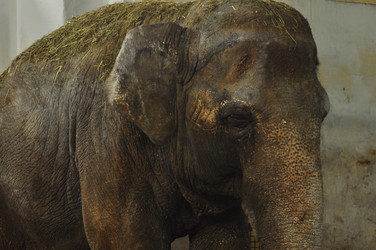 Similar image 21478848