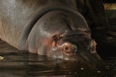 Similar image 21480747