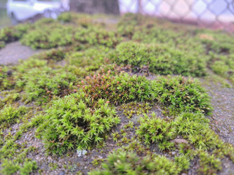 Similar image 21436685