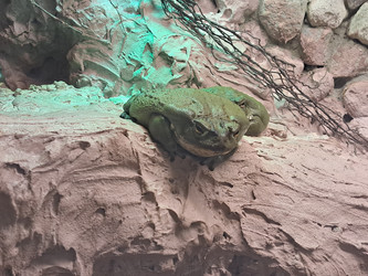 Similar image 21444731