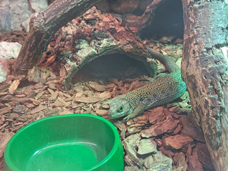 Similar image 21478851