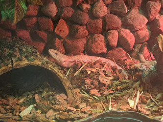 Similar image 21478852