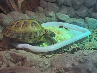 Similar image 21478853