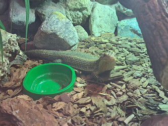 Similar image 21478854