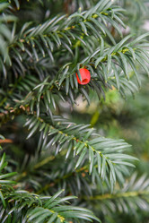 Similar image 21469823