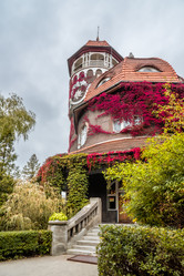 Similar image 21469825