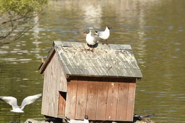 Similar image 21436688