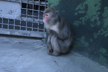 Similar image 21436690