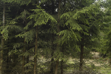 Similar image 21459024