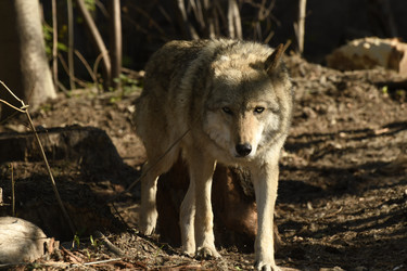 Similar image 21478859