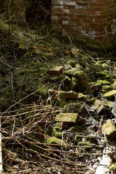 Similar image 21478864