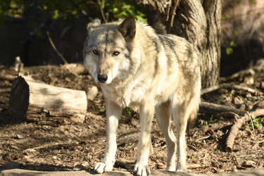 Similar image 21478865