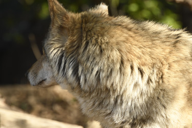 Similar image 21478867