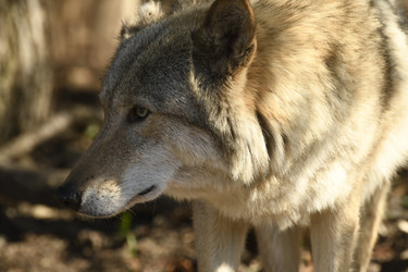 Similar image 21478869