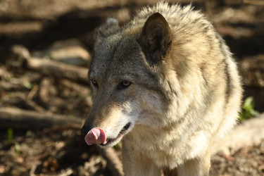 Similar image 21478871