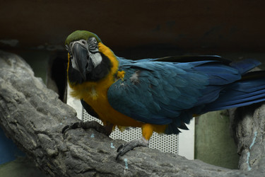 Similar image 21480751