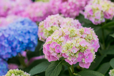 Similar image 21437960