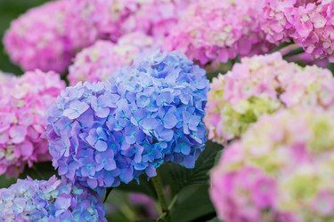 Similar image 21437961