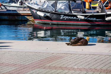 Similar image 21437963