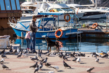 Similar image 21437996