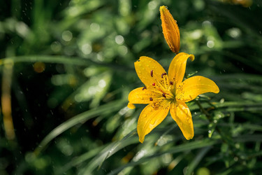 Similar image 21437998