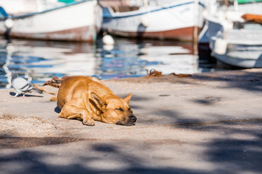 Similar image 21438001